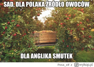 Pesa_elf - #memy #humorobrazkowy #heheszki #pasjonaciubogiegozartu #jezykangielski