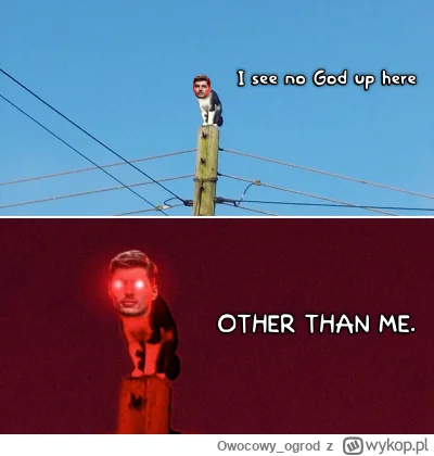 Owocowy_ogrod - Klasycznie
#f1