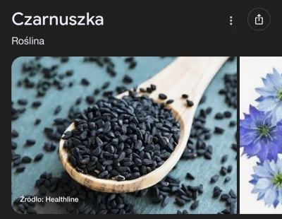 PanMaglev - Z serii: Słowa, które w końcu zostaną skanselowane