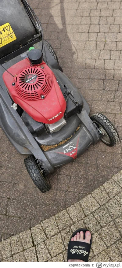 kopytakonia - Honda szybsza niż wygląda