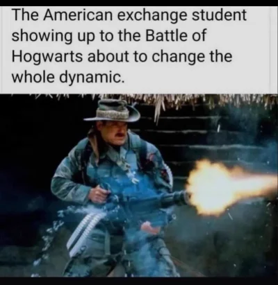 Naza_Dzikowski - #harrypotter