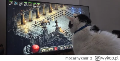 mocarnyknur - #kitku #pokazkota #koty #grajzwykopem #diablo2

Gramy dalej.