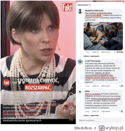 WielkiNos - Psiarze się zesrali o słowa specjalistki, że psów, ktore mają na koncie p...