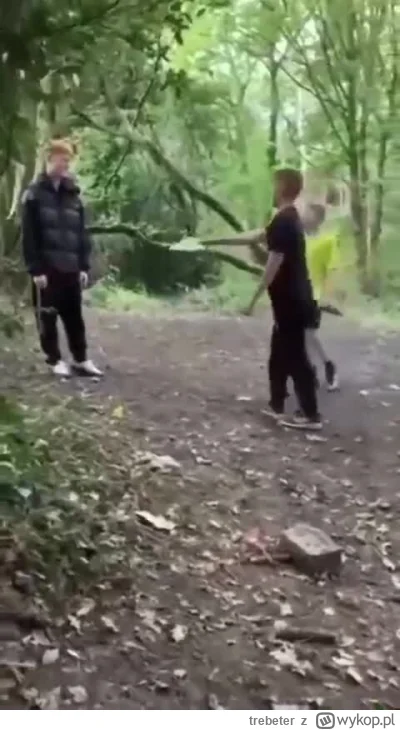 trebeter - #trzecieoko piękne
mirror: https://dubz.link/c/aaca80