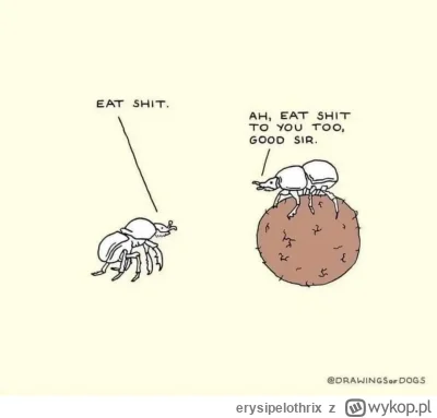 erysipelothrix - #heheszki