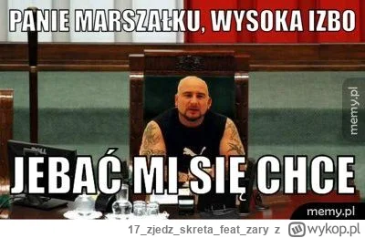 17zjedzskretafeatzary - #sejm