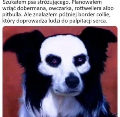 lsrrdc - #humorobrazkowy