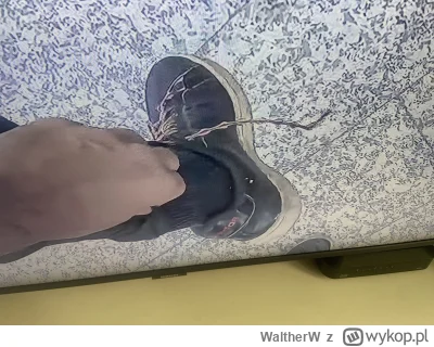 WaltherW - I”m tired boss…
#raportzpanstwasrodka