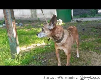 StarozytnyWarmianin - @nekrofukk: Krasawiec to jest przyjaciel majora