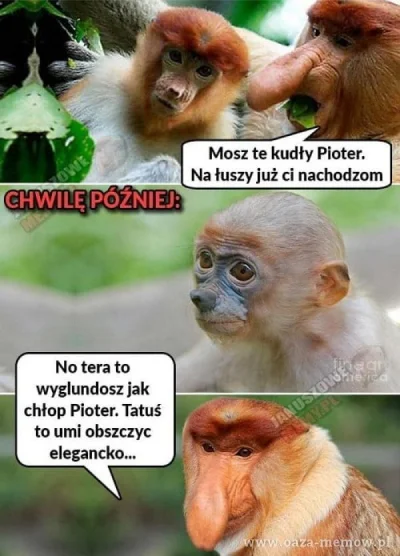 lvbie_placki - #przegryw muszę dzisiaj ogolić łeb i pysk bo już zarosłem ehh