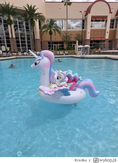 Kredke - @Naczelny_Cenzopapista Polecam, byłem dwa razy. Aktualnie jeden z najlepszyc...