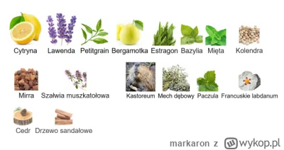 markaron - @anoysath: no co Ty :D nuta prawdziwego chłopa, masz tu alfabet i nie grze...