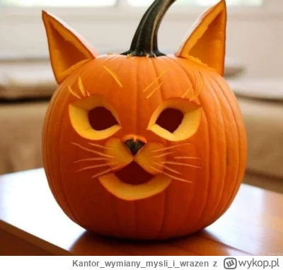 Kantorwymianymysliiwrazen - ( ͡° ᴥ ͡°)
#helloween #koty #smiesznekotki