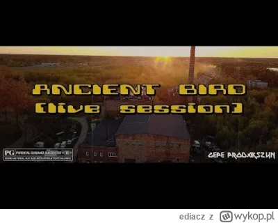 ediacz - Historia pewnego teledysku ze smutnym morałem
Jakiś czas temu wykiełkował mi...