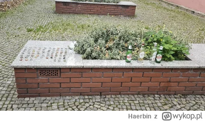 Haerbin - Instalacja artystyczna pt. Pragnienie napoju bogów październik 2024 autor n...