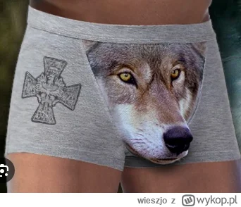 wieszjo - Przedstawiam nowe majtki marki "Sylvin Zwyrolein"  - kolekcja watahańska ( ...