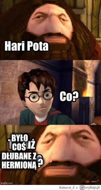 Kakarot_Z - #harrypotter