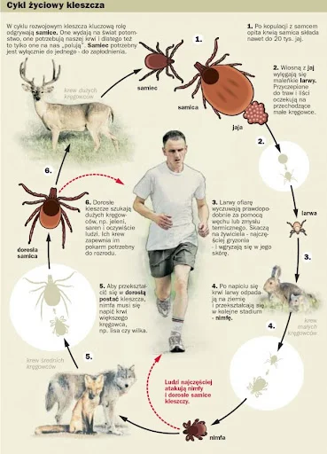 PfefferWerfer - >a kleszcze i komary i tak będą xD

@Lapidarny: No tak, bo są z innyc...
