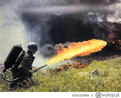 staszaiwa - >Gazem możesz niedźwiedzia odgonić:

@jonik: Ale nie watahę wilków.
Chyba...