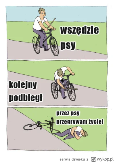 serwis-dzwieku - #psiarze