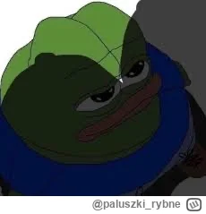 paluszki_rybne - @Neocaridina