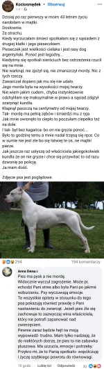 A330 - Pies: Bestia wielkości małego niedźwiedzia, rzuca sie na losową osobę 
Psiarze...