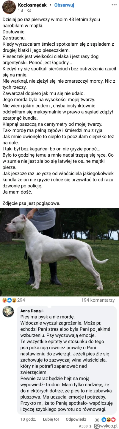 A330 - Pies: Bestia wielkości małego niedźwiedzia, rzuca sie na losową osobę 
Psiarze...