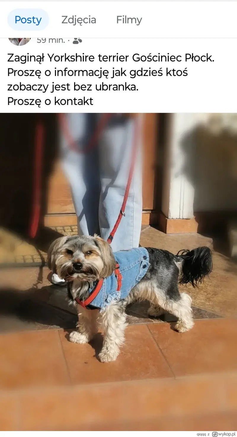 ApropoDefakto - @derivatives: 
 Miałeś coś wspólnego z zaginięciem Yorkshire terrier ...