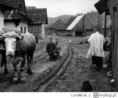 LordMrok - @jaszczur12: raczej tak