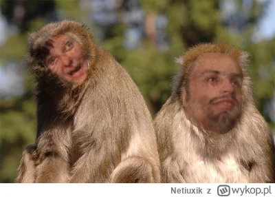 Netiuxik - matełusz i gosia już pod mopsem czekając na świąteczne dary benc #bonzo