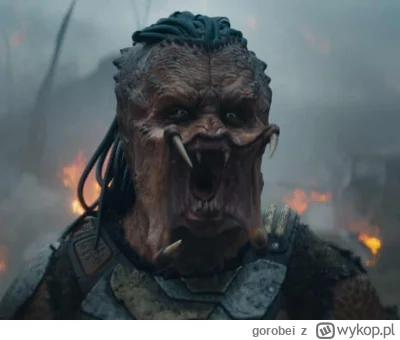 gorobei - @szarytkarz: