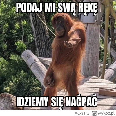 Mdx91 - #narkotykizawszespoko #heheszki