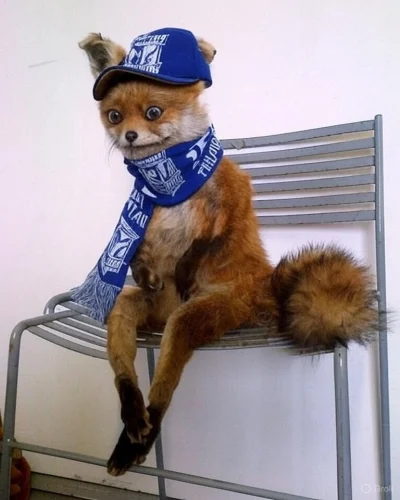 latarnikpolityczny - #mecz