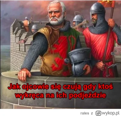 rales - #heheszki #humorobrazkowy #samochody