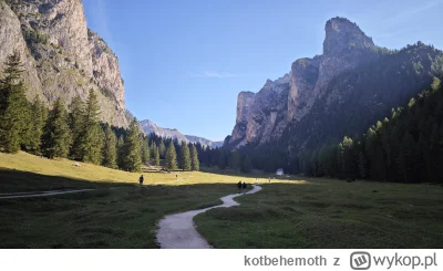 kotbehemoth - @booolooo no elo