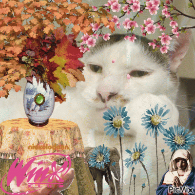 dywergent - w 2020 to w sumie wszystko wygladalo jakby mialo sie dobrze skonczyc