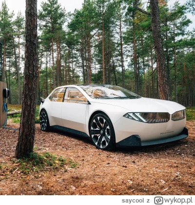 saycool - @Pasterz30: Coś w tym stylu