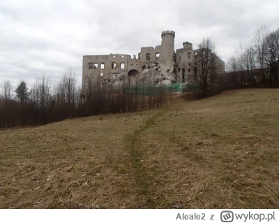 Aleale2 - #zamek Zamek Ogrodzieniec w remoncie