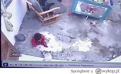 Springfield - @SaycoRa: