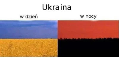 WstretnyOwsik - #ukraina