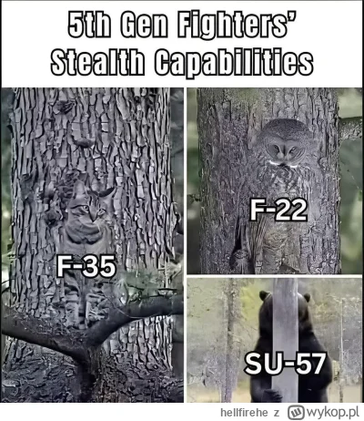 hellfirehe - Analogów w mirze niet! :) 

#samoloty #usa #rosjawstajezkolan #rosja #f2...