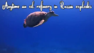 TraumatyczneCiastoPrawdy - #wojna #ukraina #rosja #heheszki #humor