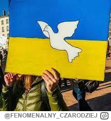 FENOMENALNY_CZARODZIEJ - #ukraina #rosja #wojna #pokoj #zalesie #ankieta #kiciochpyta