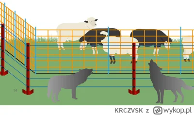 KRCZVSK - @BestiazJellystone: Tak to wygląda.