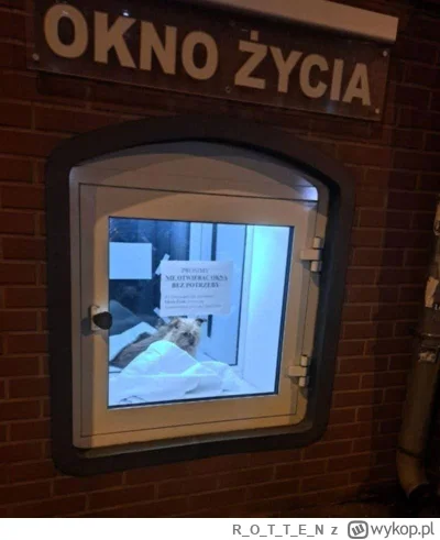 ROTTE_N - #heheszki #polska