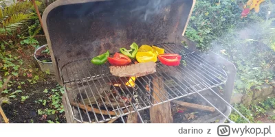 darino - Steak i warzywa (⌐ ͡■ ͜ʖ ͡■)