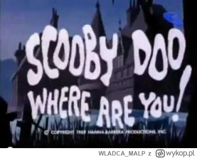 WLADCA_MALP - 45/60 #wakacjezbajkami

Scooby Doo, Where Are You! / Różowa Pantera -Th...