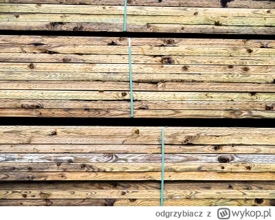 odgrzybiacz - #technologia impregnacja drewna konstrukcyjnego wpis na moim blogu #dre...