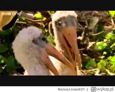 NanuszJowak91 - POTĘŻNA Barcelona ma tyle samo punktów co Karabach #mecz