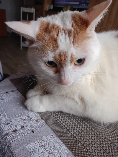 Mega_Smieszek - Mrumrułkę wczoraj bolał brzuszek i płakusiała i chciała być brana na ...